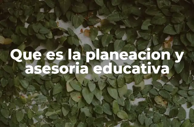 Que es la Planeacion y Asesoria Educativa 2 El papel de la asesoría en el desarrollo estudiantil