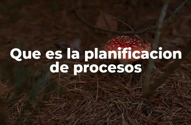 Que es la Planificacion de Procesos