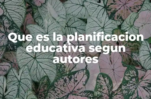 Que es la Planificacion Educativa Segun Autores