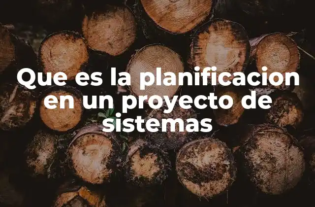 Que es la Planificacion en un Proyecto de Sistemas