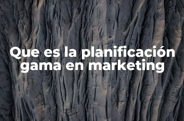 Que es la Planificación Gama en Marketing