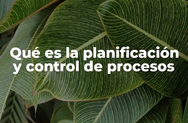 Qué es la Planificación y Control de Procesos