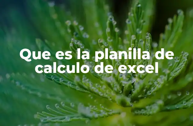 Que es la Planilla de Calculo de Excel