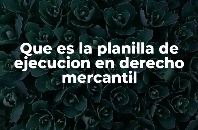 Que es la Planilla de Ejecucion en Derecho Mercantil 2 El papel de la planilla de ejecución en el proceso judicial mercantil