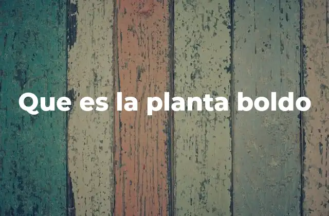 Que es la Planta Boldo