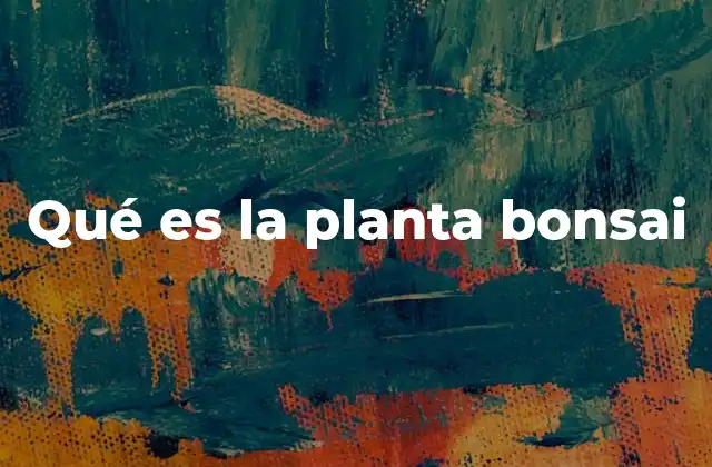 Qué es la Planta Bonsai