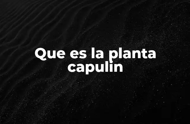 El árbol del capulín y su importancia en la cultura mexicana