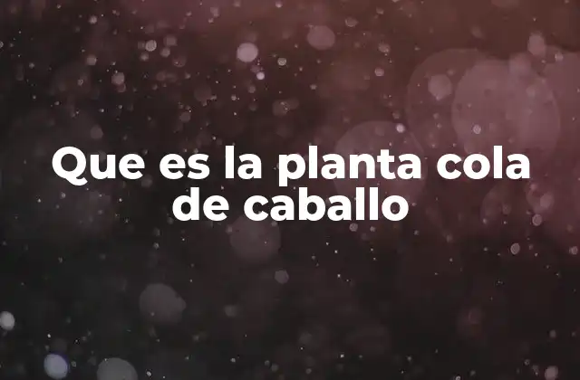 Que es la Planta Cola de Caballo