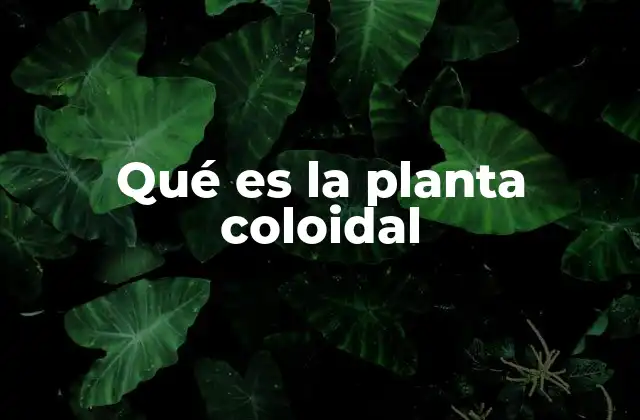 Qué es la Planta Coloidal 2 La ciencia detrás de los coloides vegetales