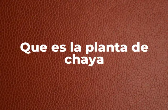 Que es la Planta de Chaya