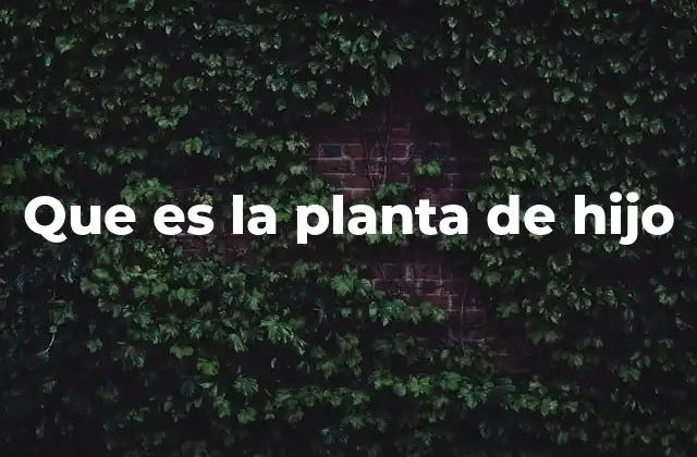 Que es la Planta de Hijo