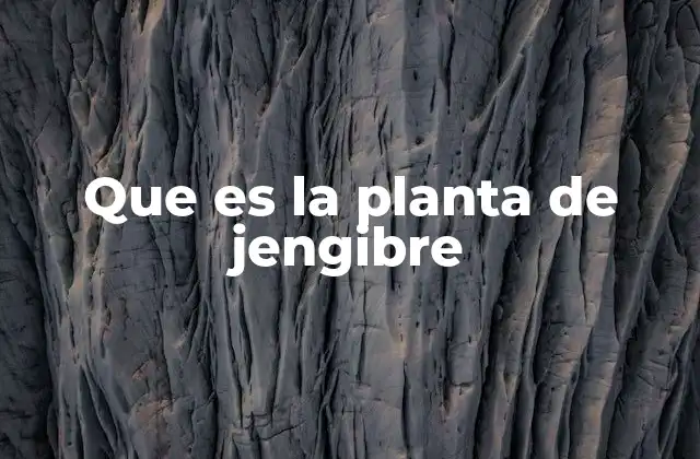 Que es la Planta de Jengibre
