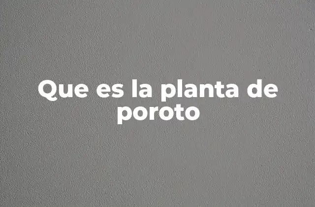 Que es la Planta de Poroto