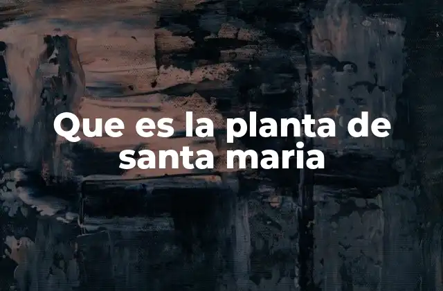 Características botánicas y distribución de la planta de Santa María