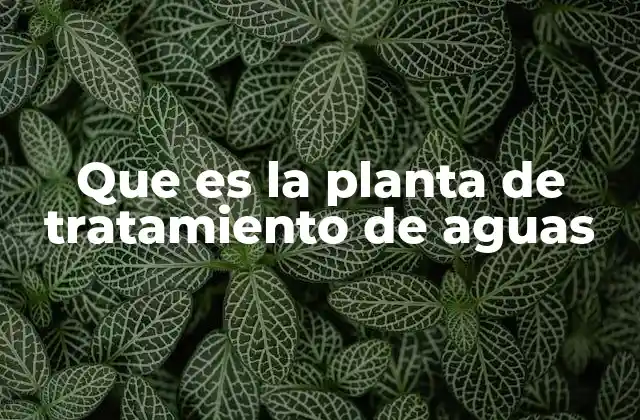 Que es la Planta de Tratamiento de Aguas