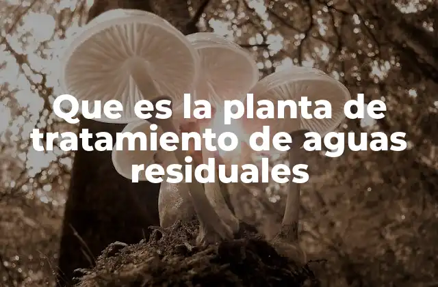 Que es la Planta de Tratamiento de Aguas Residuales