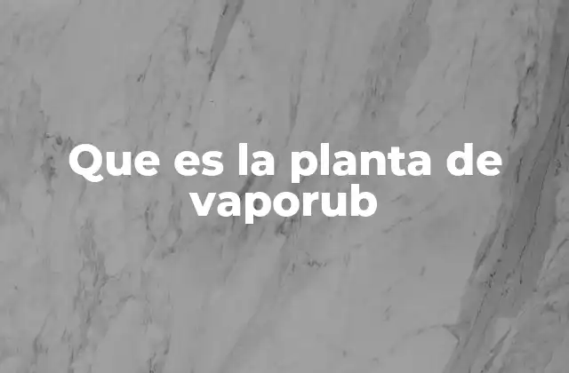 Que es la Planta de Vaporub