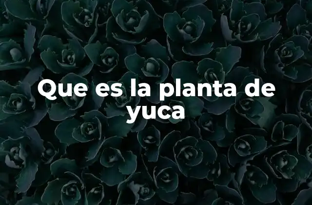 Que es la Planta de Yuca