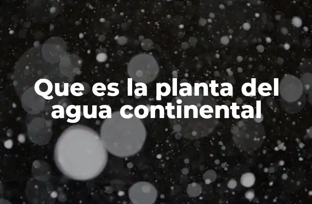 Que es la Planta Del Agua Continental