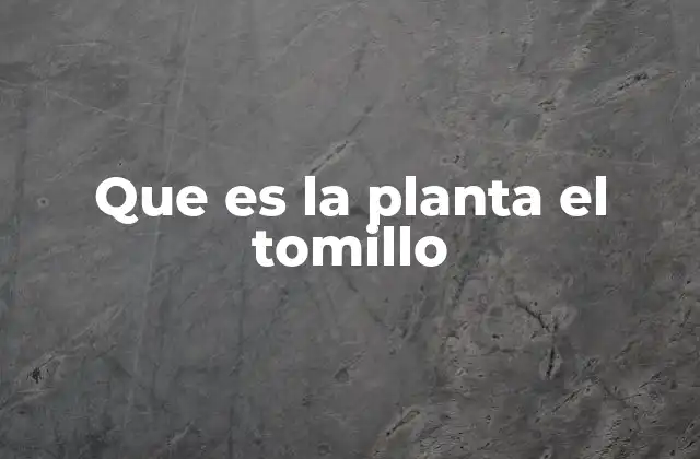 Que es la Planta el Tomillo