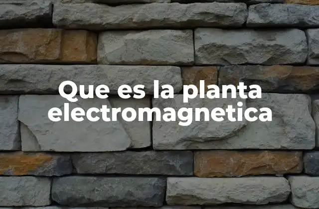 Que es la Planta Electromagnetica