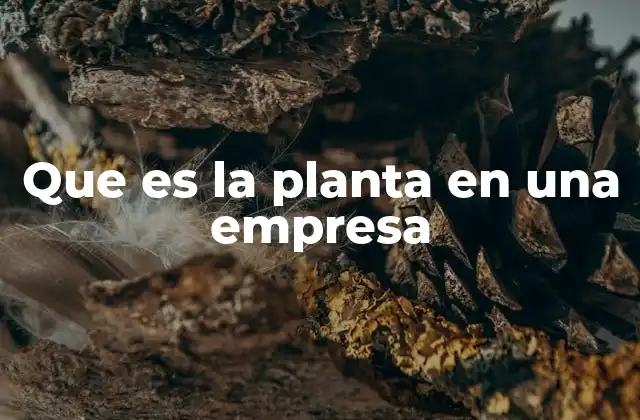 El papel de la planta en la operación de una empresa