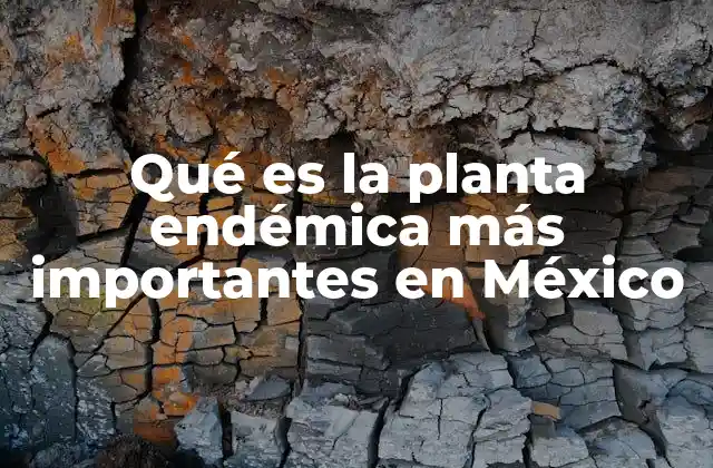 La importancia ecológica de las especies vegetales únicas de México