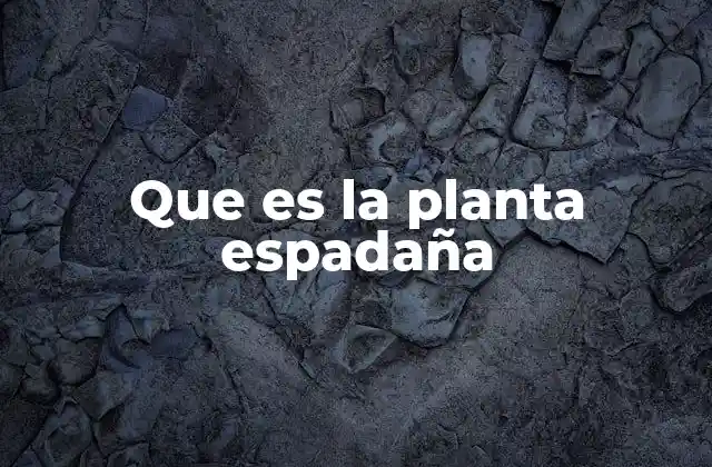 Que es la Planta Espadaña