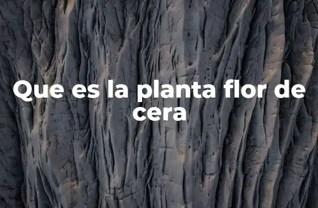 Que es la Planta Flor de Cera