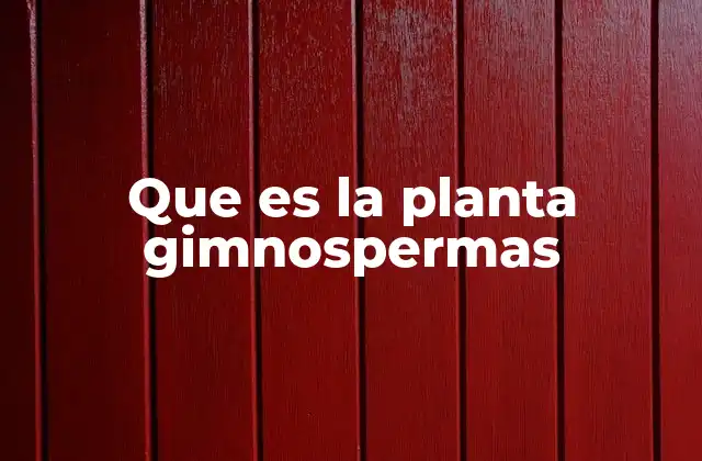 Que es la Planta Gimnospermas