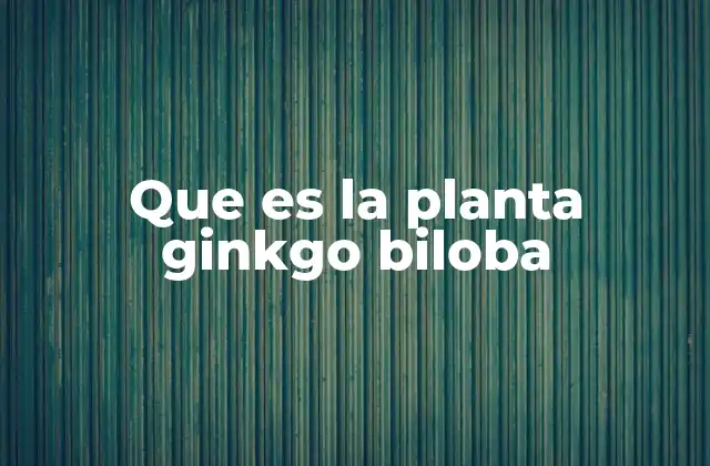 Que es la Planta Ginkgo Biloba