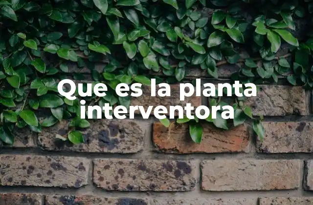 Que es la Planta Interventora