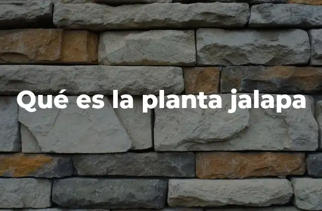 Qué es la Planta Jalapa