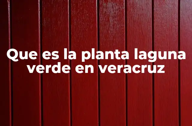 Que es la Planta Laguna Verde en Veracruz