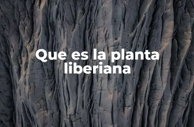 Que es la Planta Liberiana