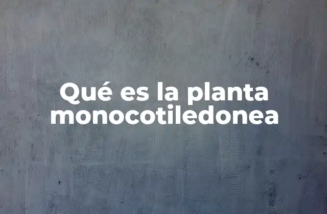 Características distintivas de las monocotiledóneas