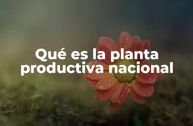 El papel de la industria en la estructura económica