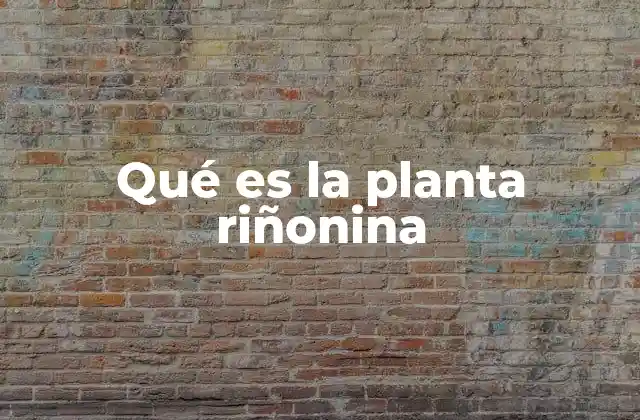 Qué es la Planta Riñonina