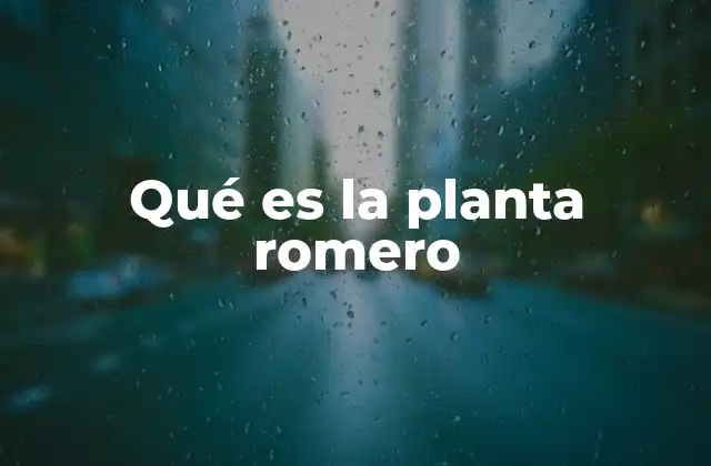 Qué es la Planta Romero