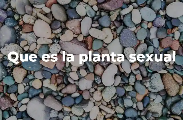 Que es la Planta Sexual