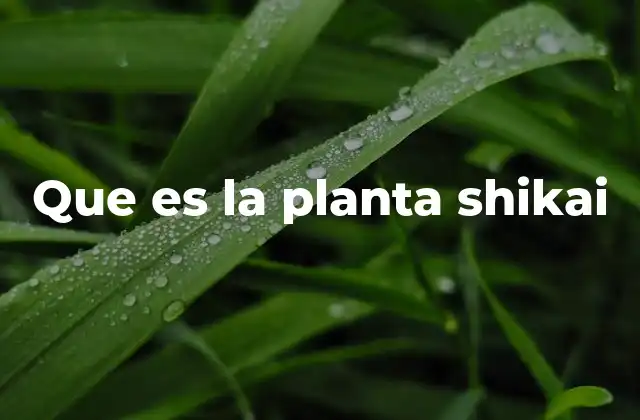 Que es la Planta Shikai