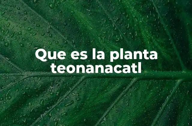 Origen y evolución cultural del teonanacatl
