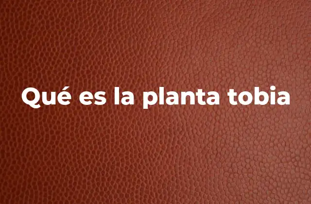 Características principales de la planta tobia