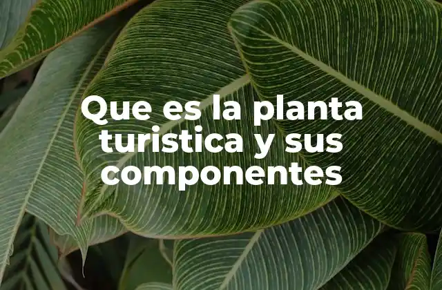 Que es la Planta Turistica y Sus Componentes