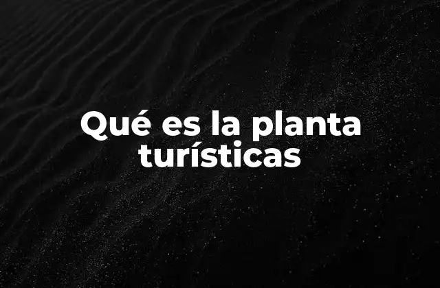 Qué es la Planta Turísticas