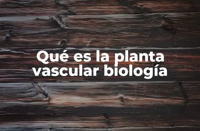 Qué es la Planta Vascular Biología