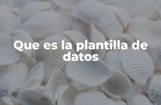 Que es la Plantilla de Datos