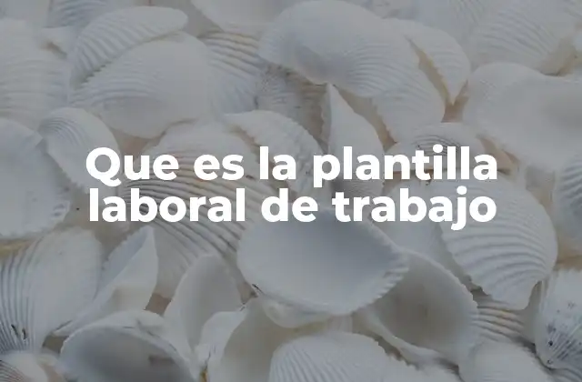 Que es la Plantilla Laboral de Trabajo
