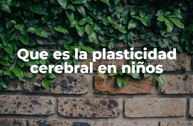 Que es la Plasticidad Cerebral en Niños