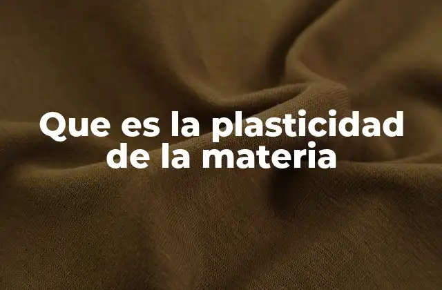 Que es la Plasticidad de la Materia